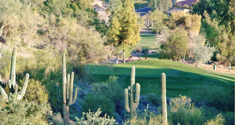 Desert Canyon Golf Course Scottsdale Arizona