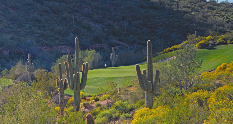 Eagle Mountain Golf Course Scottsdale Arizona