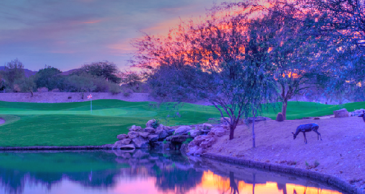 McDowell Mountain Golf Course Scottsdale Arizona